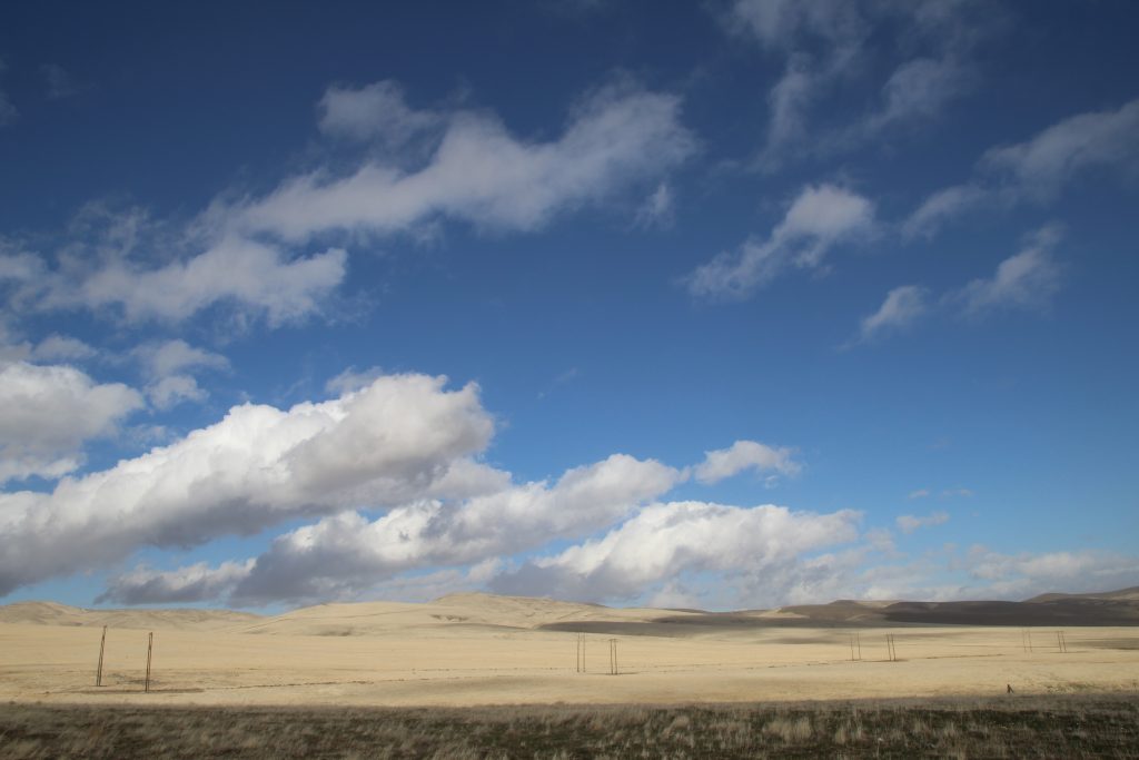 Between Moxee and Richland, WA 4