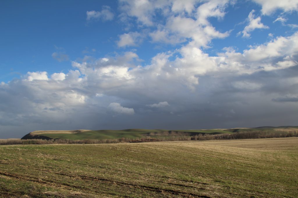 Within the Palouse 2