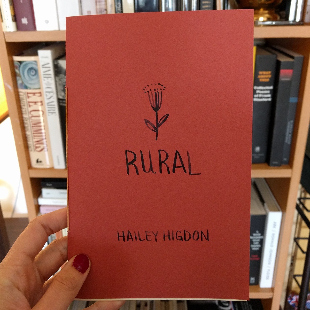 hailey higdon rural
