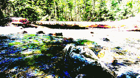 Middle Fork GIF 2 by Greg Bem