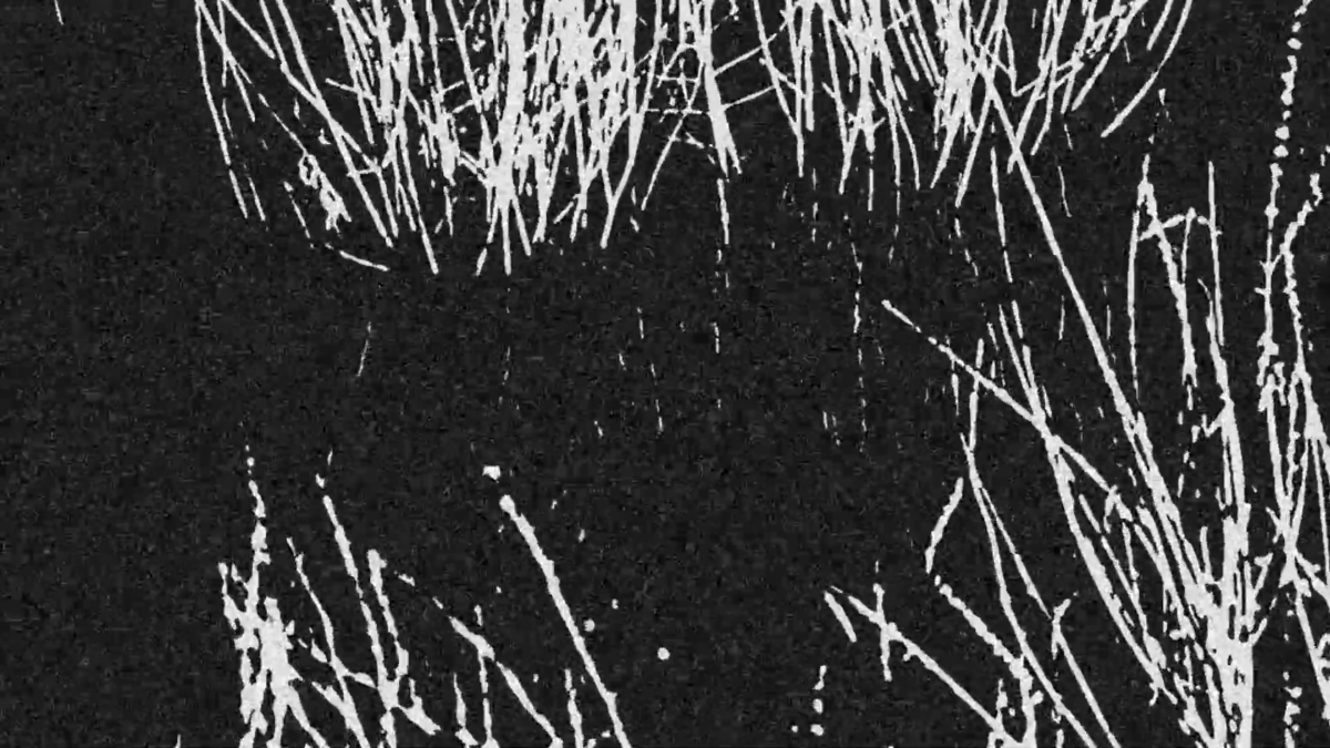 Still shot from the video I created for Ancient Lakes