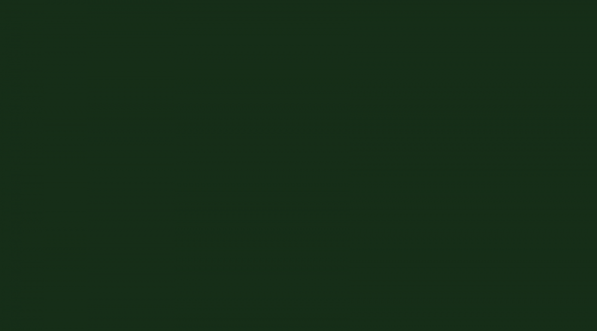 A solid green square